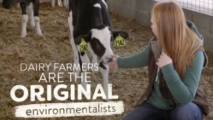 environmentalist woman farmer and calf